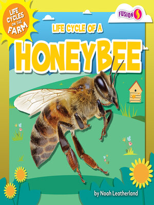 cover image of Life Cycle of a Honeybee